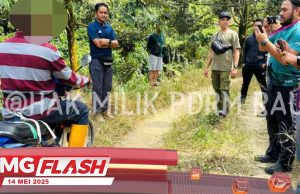 Warga Asing Ceroboh Hutan Simpan Rotan Tunggal #MGFlash