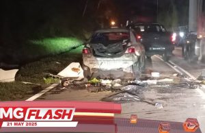 Gajah Jantan Mengamuk Di Jalan Raya Gerik-Jeli #MGFlash