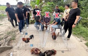 Polis serbu sarang judi sabung ayam