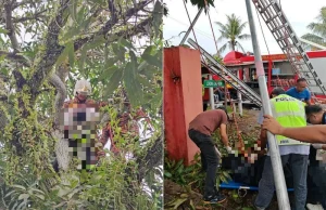 Lelaki maut terkena renjatan elektrik ketika jolok buah mangga