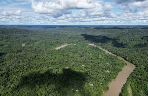 Brazil fires drive acceleration in Amazon deforestation – Report