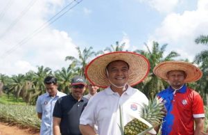 RM23.4 juta untuk program optimum tanah pertanian Johor