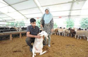 Umat Islam Singapura laksana ibadah korban di Johor