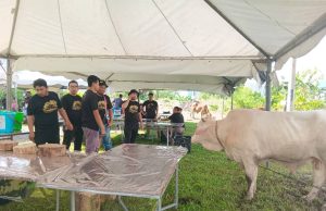 150 anak muda terlibat sembelih, melapah daging korban