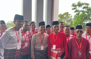 Pengalaman luas Hishammuddin diperlukan perkukuh semula parti, bantu kerajaan