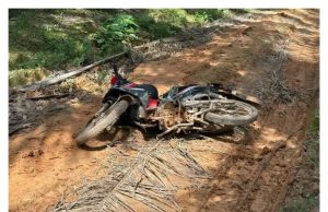 Lelaki ditemui mati dalam ladang sawit milik bapa