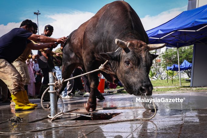 HARI RAYA AIDILADHA