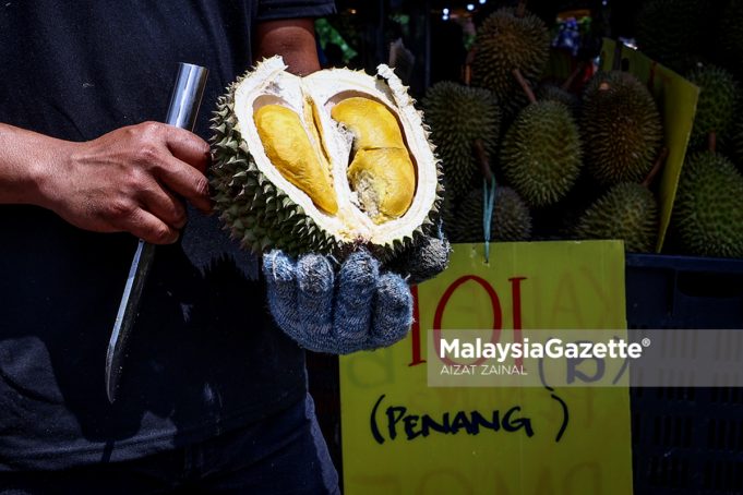DURIANS ATOK