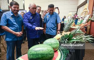 Exco Pembangunan Luar Bandar, Perladangan, Pertanian dan Industri Makanan Perak, Datuk Mohd Zolkafly Harun melawat reruai pameran pada Majlis Peluncuran Laporan Interim Banci Pertanian 2024 Negeri Perak di Bangunan Pengurusan FAMA Negeri Perak, Gopeng. Foto ABDULLAH YUSOF, 23 JUN 2025. Banci Pertanian Perak Bumiputera