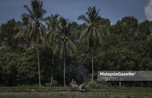 Kerajaan setuju pelarasan kadar pembajakan, perkenal insentif penuaian
