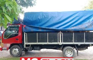 Cuba Seludup 19,000 Kg Beras, 11 Ekor Lembu Dari Thailand #MGFlash