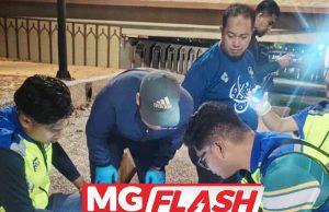 Apa Punca Ribuan Bangkai Ikan Mati Di Sungai Melaka? #MGFlash