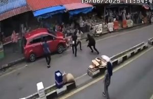 Pemandu diserang sawan rempuh pengunjung Kea Farm