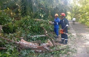 10 daerah di Kedah terjejas teruk akibat ribut