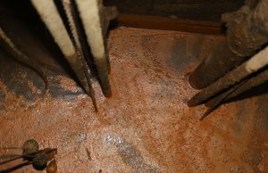 Responsible Waste Disposal: Hazardous Dumping Is a Big No-No