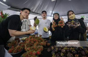 Fiesta Buah-Buahan Tempatan