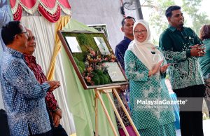 Tunggu pengumuman PM, satu kejutan kepada rakyat – Dr Zaliha