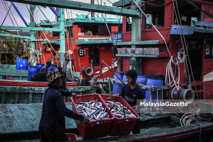 MGF19032021_NELAYAN NAIK IKAN01 (1) Ikan, nelayan gambar hiasan