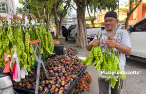 Manggis dari Perak dapat sambutan di Kuantan – Peniaga