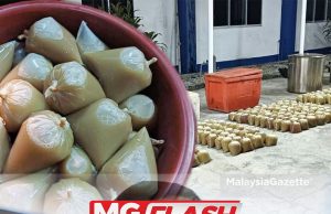 Ketagih Atau Tidak, Pengguna Ketum Perlu Jalani Pemulihan – AADK #MGFlash