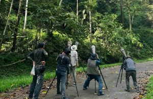 Festival Burung Borneo kembali lagi di Sandakan