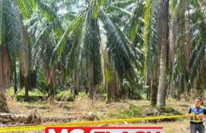 Bom UXO Era Perang Dunia Ke-2 Ditemui Di Jasin #MGFlash