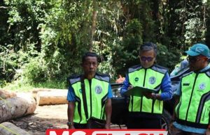 Pemilik Lori Pindah 59 Balak Didenda #MGFlash