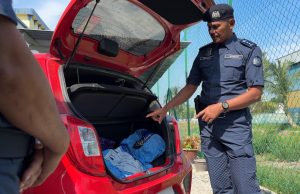 Kastam rampas bunga ganja RM5.1 juta, tahan dua lelaki