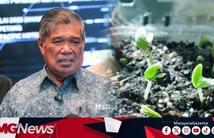 Penggubalan RUU Benih Tanaman akan diteruskan – Mohamad Sabu