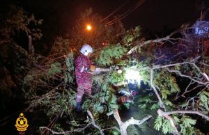 Penunggang motosikal cedera ditimpa pokok tumbang