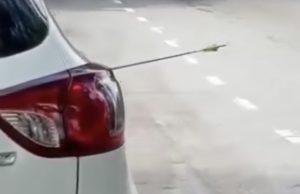 Polis siasat insiden SUV terkena anak panah di Jalan Macalister