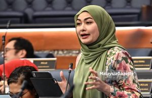 Vandalisme arca struktur rumah ibadat bukan Islam di Bukit Tinggi tidak harus berlaku – Young Syefura