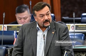 Malaysia jadi negara tua menjelang 2048 – Amir Hamzah