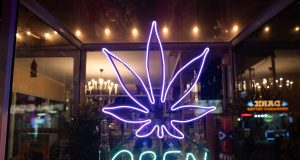 kanabis, ganja, thailand