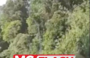 Lelaki Serang Pemandu Kereta Di Genting Sudah Dicekup #MGFlash