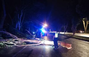 Abang maut, adik parah motosikal rempuh dahan pokok patah