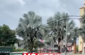 Polis Siasat Insiden Pelanggaran Dua Kenderaan di Jalan Sekerat #MGFlash