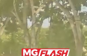 Kes Tular Tujuh Merusuh Selepas Kemalangan Tiga Kenderaan Disiasat #MGFlash