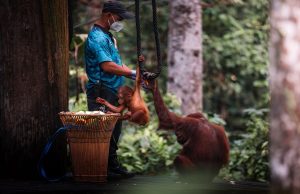 Kampung Bambangan jadi Destinasi Pelancongan Komuniti baharu