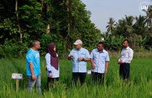UM sasar sifar import beras menjelang 2030