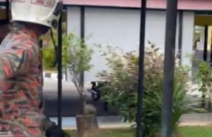 Bomba tangkap buaya dalam sekolah