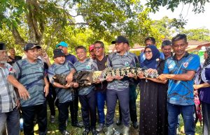 Buaya sesat di Sungai Paya Luboh ditangkap