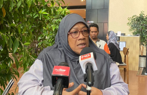 Projek Kampung Sg Baru tak wajar diputar belit, pampasan cecah RM3.8 juta – Sanita