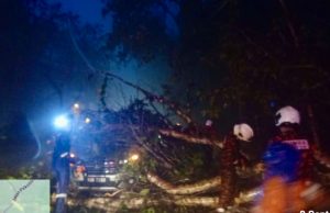 Pokok tumbang hempap kereta, rumah di Kuantan dan Lipis