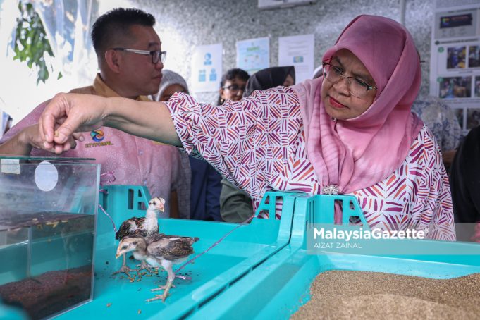 DIALOG BANDAR RAYA 2025