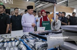 Hentikan keganasan, kezaliman ke atas sukarelawan GSF – PM