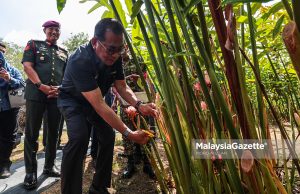 Program Ekonomi MADANI: Projek ternakan lebah kelulut, cendawan jana pendapatan tambahan keluarga ATM