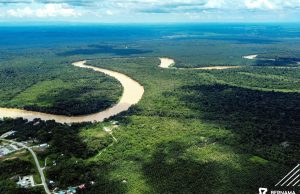 Kinabatangan diiktiraf tapak rizab biosfera terbaharu