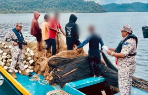 Lima individu termasuk tekong bot pukat jerut bilis ditahan