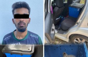 Padah Sorok Beruang Matahari Dalam Myvi, Lelaki Ditahan #MGFlash